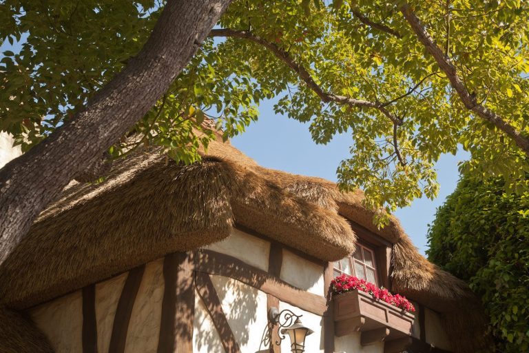 61_global_innovations