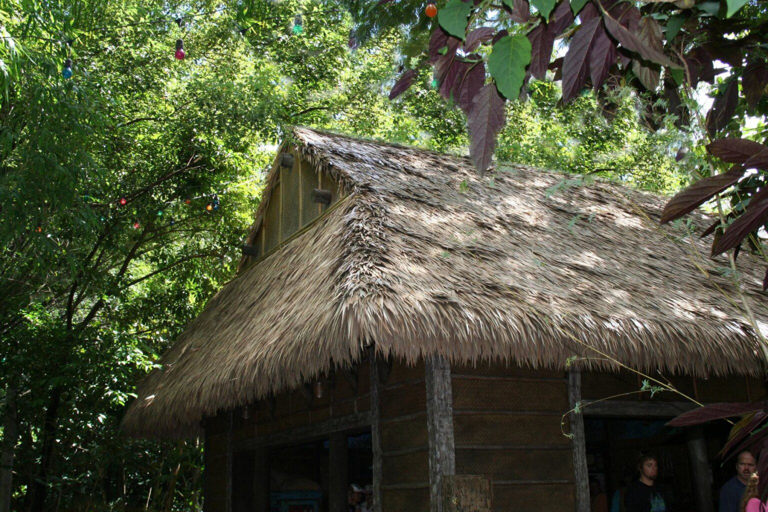 Dripline Trench Installation for Gutterless Structures Endureed