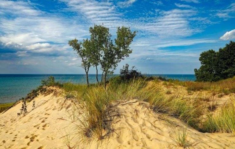 Flame-retardants-in-the-great-lakes-ecosystem