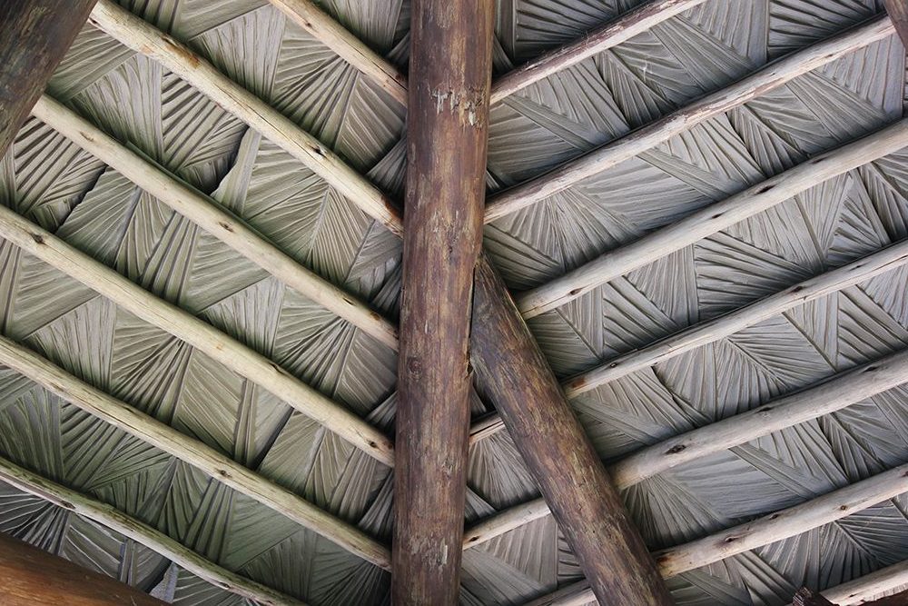 Viva palm can be used for thatch umbrella