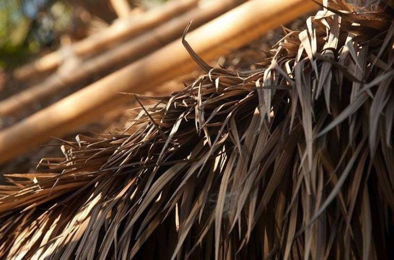 Leed-sustainable-building-program-materials-to-raise-leed-scorecard