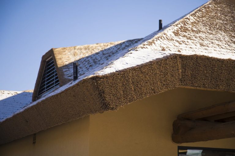 Turtle-back-zoo-capetown-2