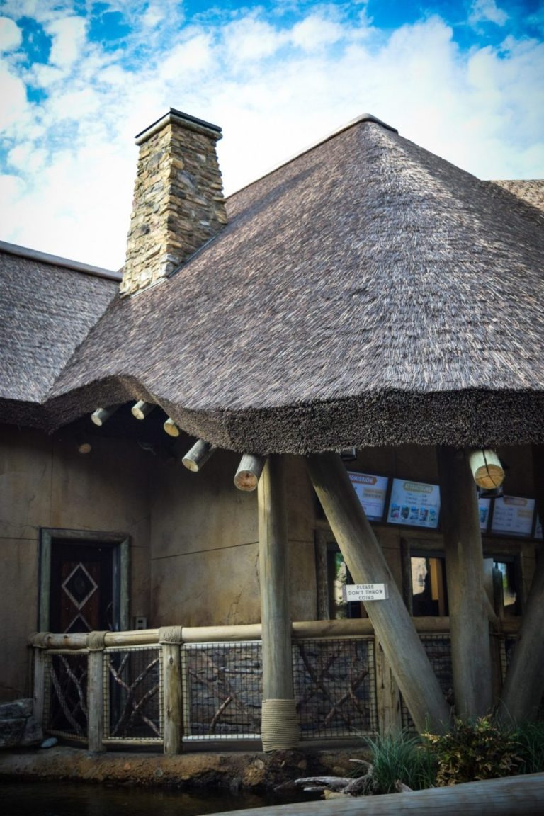 Turtle-back-zoo-kilimanjaro-4