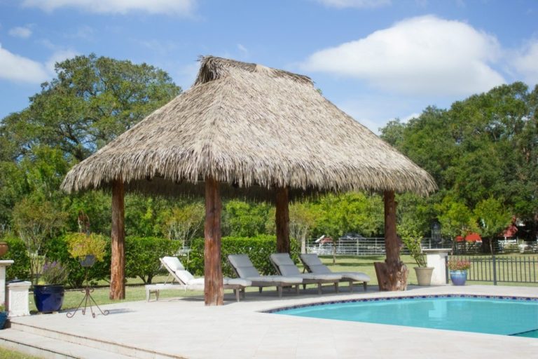 Viva-palapa-1-1024x683