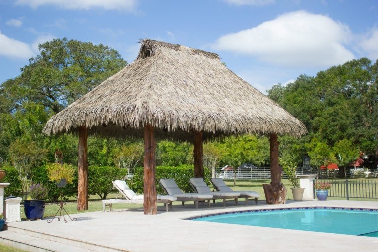 Viva-palapa