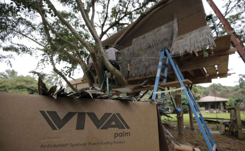 Viva-palm-treehouse-masters