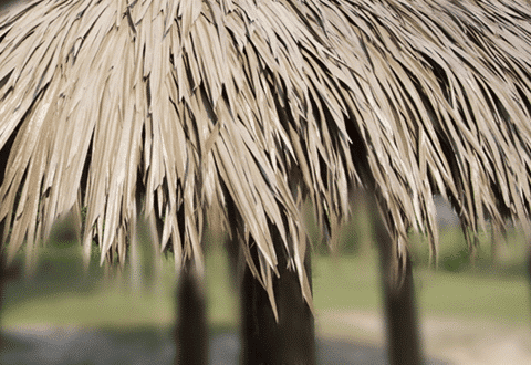 Why Thatch Tiki Huts Are A Better Shade Option For Patrons Than Umbrellas
