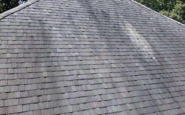 Black-stains-on-shingles
