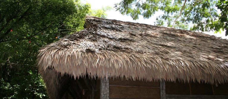 Dominica-hero-compressor