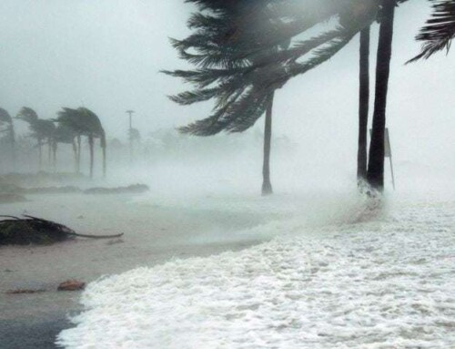 As Hurricane Florence Threatens Category 5 Status, What Kind Of Damage Is Expected?