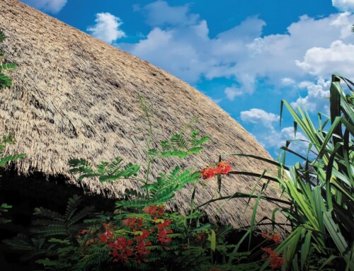 Regions Series Materials Help Conserve Natural Resources, Fight Climate Change