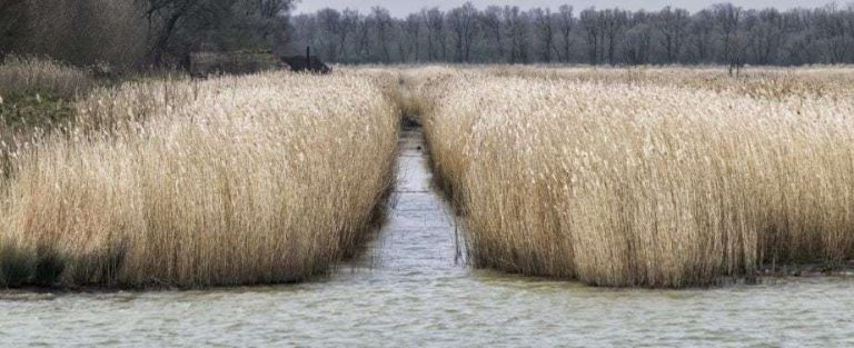 synthetic water reed roof
