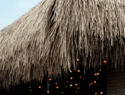 Synthetic Thatch Roofing Questions