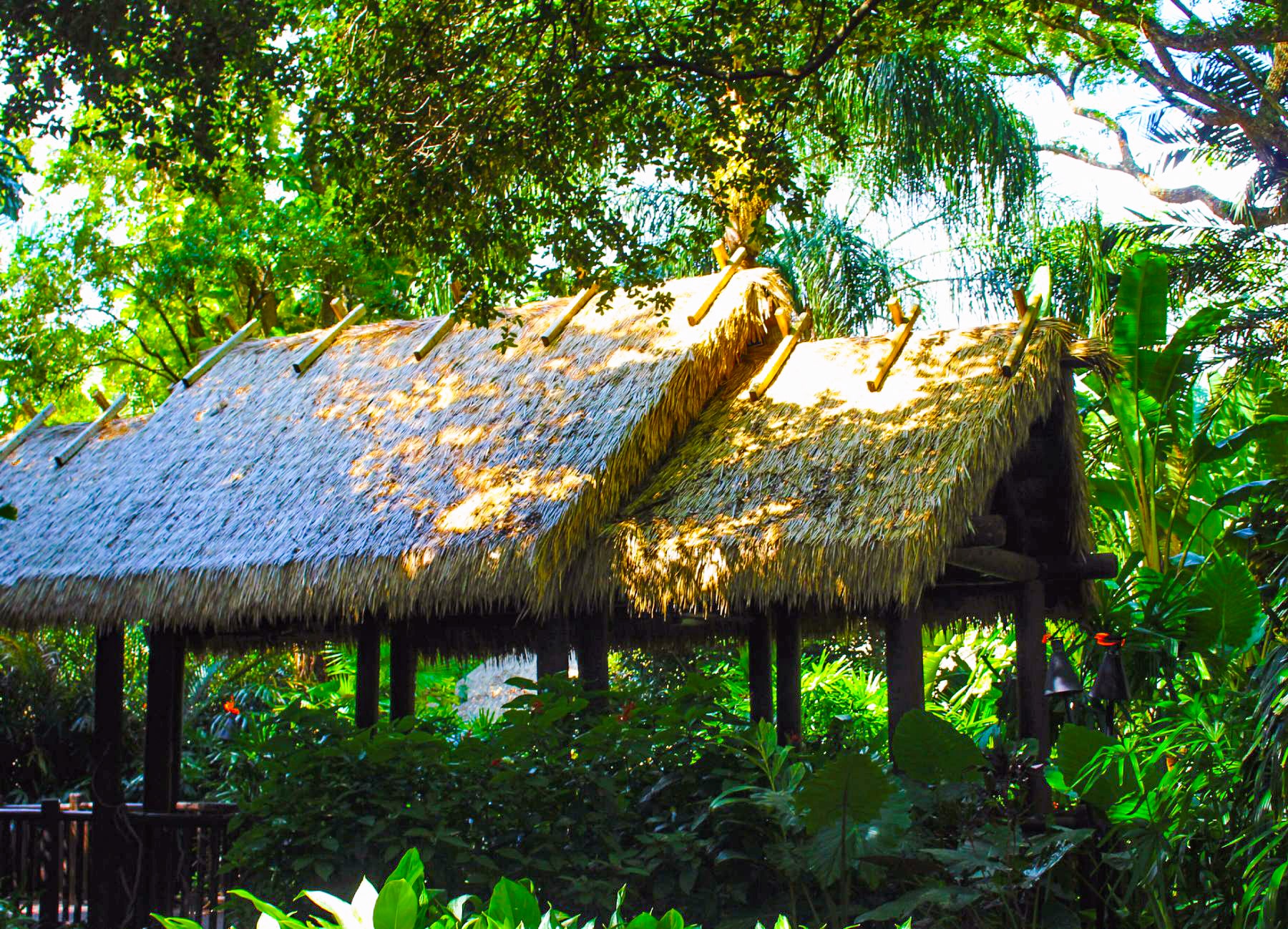 Natural thatched palapa in a forest setting.