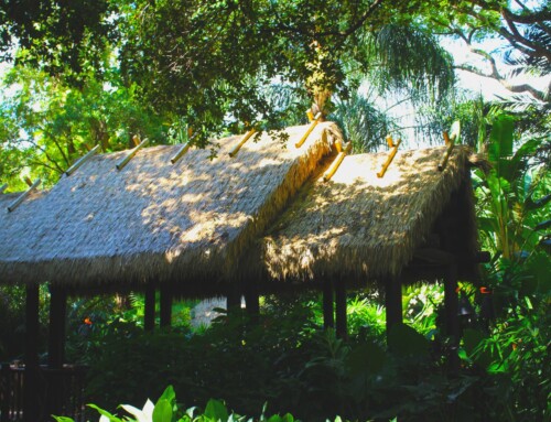 7 Reasons to Switch from Natural Thatch to Endureed Engineered Thatch