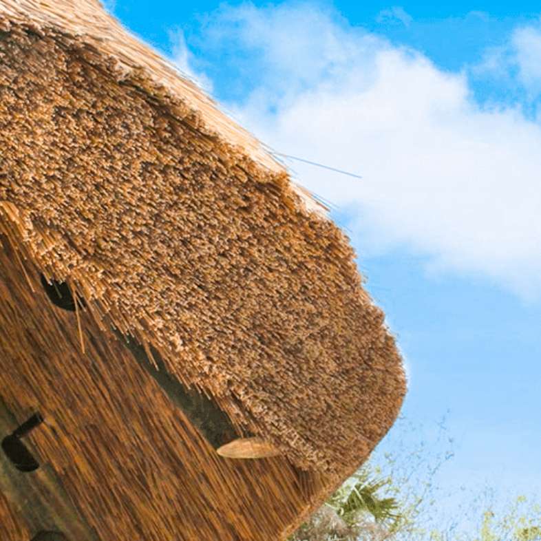 Thatched Roof Building