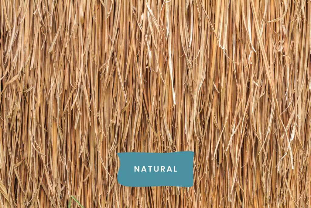 5 Pros and Cons of Natural and Synthetic Thatch Roofing 1