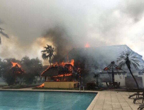 Flame-Resistant Roofing: Premium Engineered Thatch