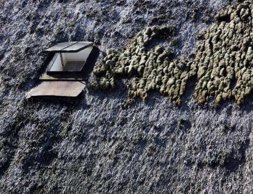 6 Common Problems With Aging Natural Thatched Roofs