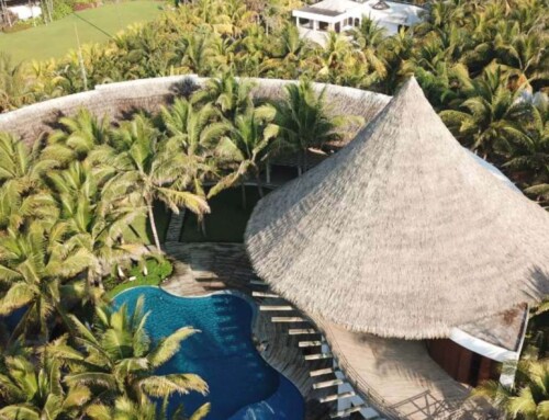 The Past and Future of Thatch Roofing
