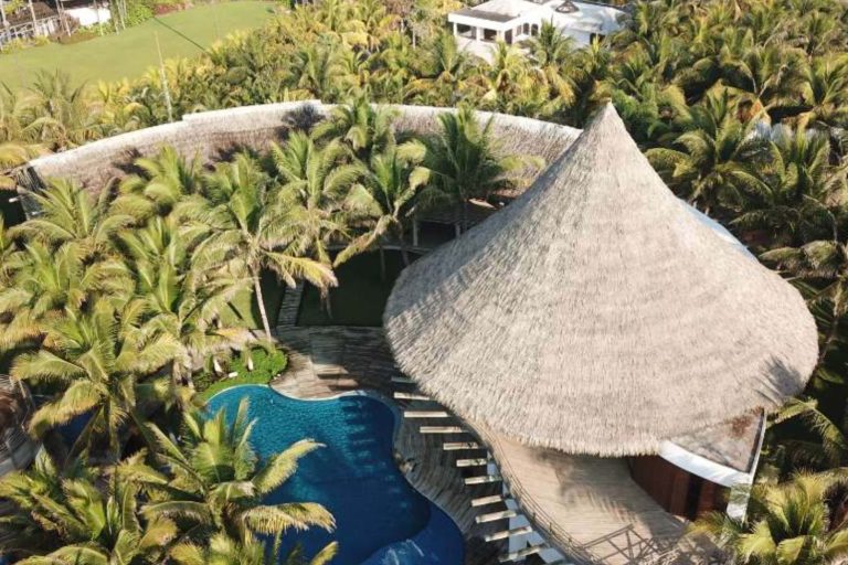 tropical building with thatch roofing surrounded by trees
