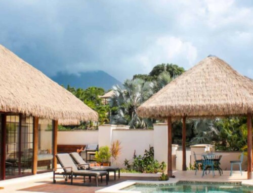 VIVA Palm or Premium Engineered Thatch: Which Should You Choose?