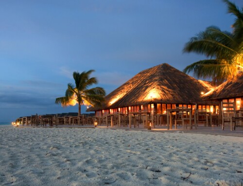 Best Roofing Materials for Tropical Restaurants
