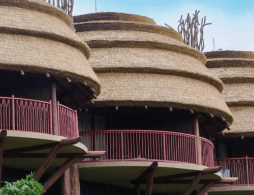 Engineered Thatch & Modern Construction: What You Need to Know