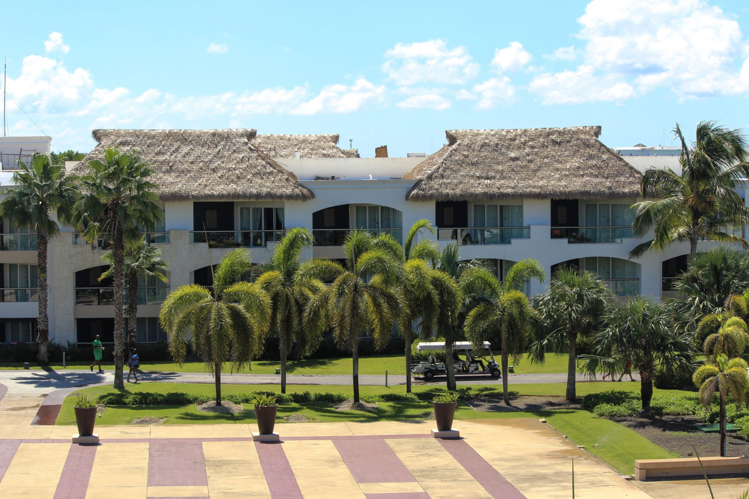 Buildings with synthetic thatch roofing