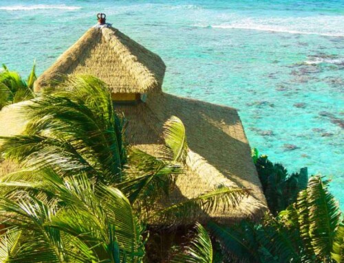 Engineered Thatch Maintenance: Extend the Life of Your Roof