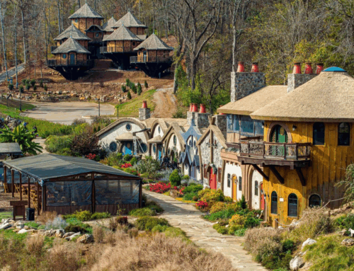 The Hidden Cost of Natural Thatch: Is Synthetic Thatch Better?