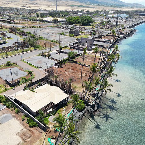 Bespoke Collection, Case Study 2