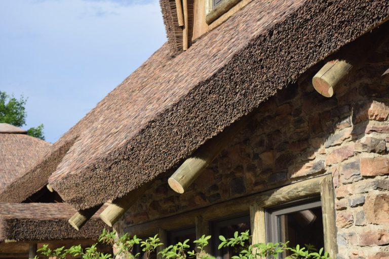 thatched roof lasts