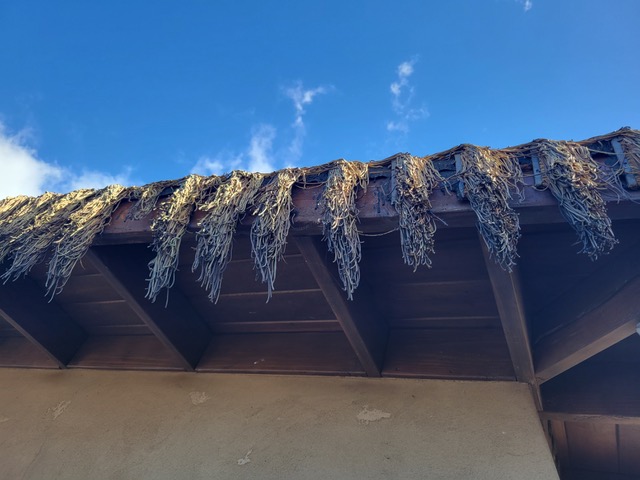 Lahaina HI Wildfire Aftermath