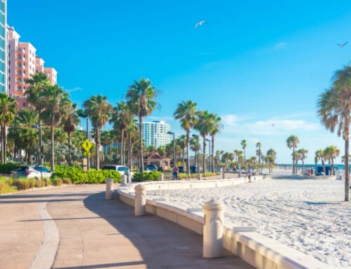 Along the Beach: Choosing the Best Roofing Material for Coastal Buildings