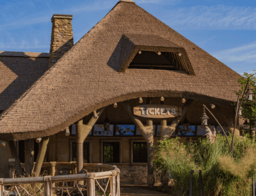 Crafting Authentic Habitats: Endureed’s Role in the Cincinnati and Nashville Zoo Transformations