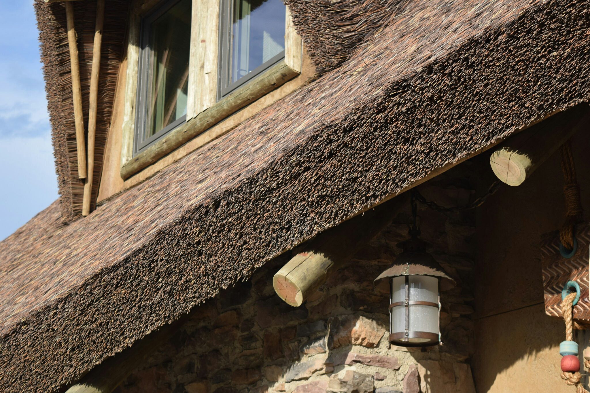 Kilimanjaro NashvilleZoo 5 (1) Nashville Zoo