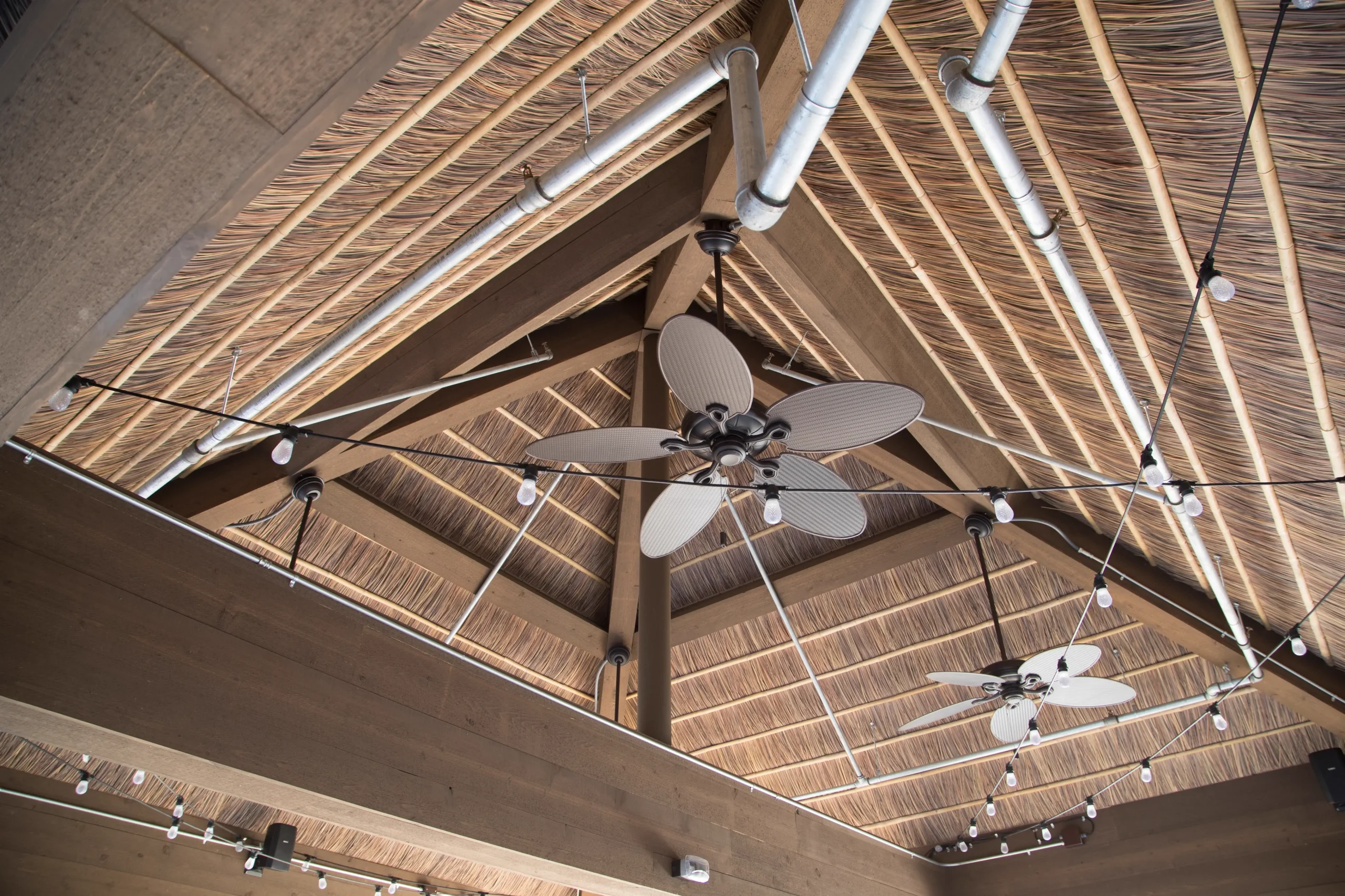 Capetown TurtleBackZoo 34