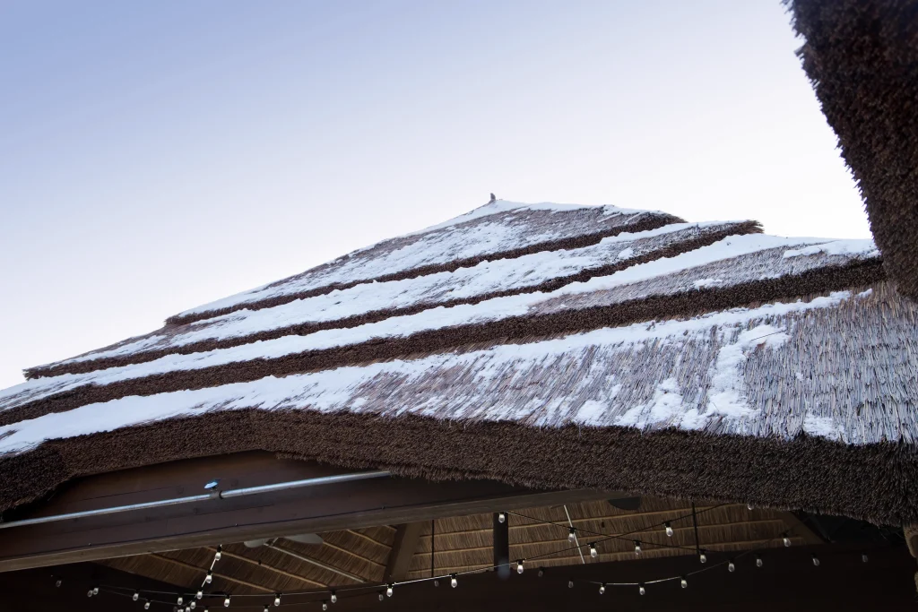 Capetown TurtleBackZoo 35 (1)