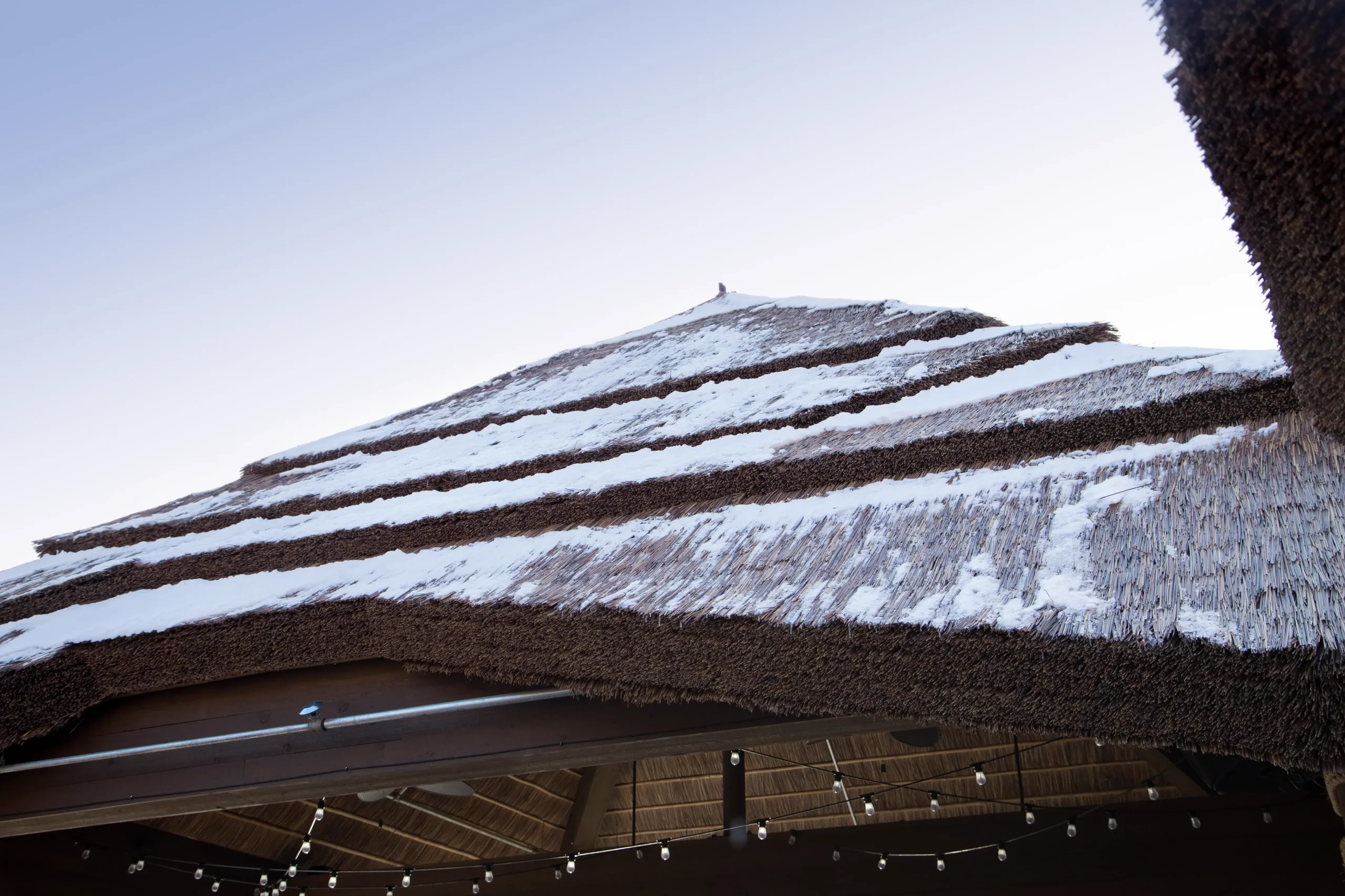 Capetown TurtleBackZoo 35 (1)