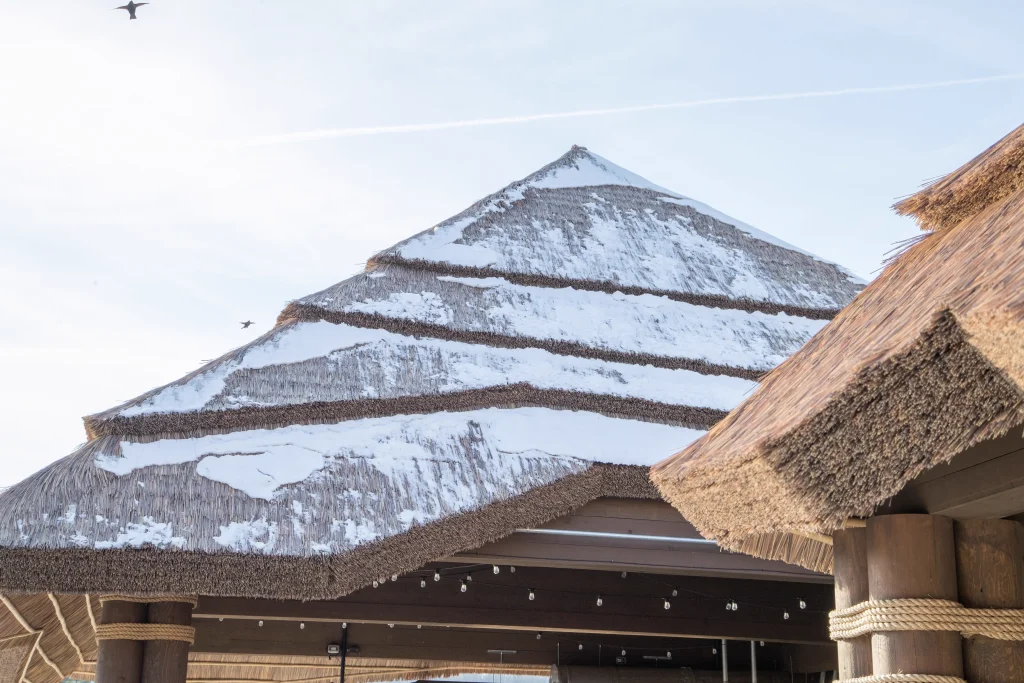 Capetown TurtleBackZoo 38