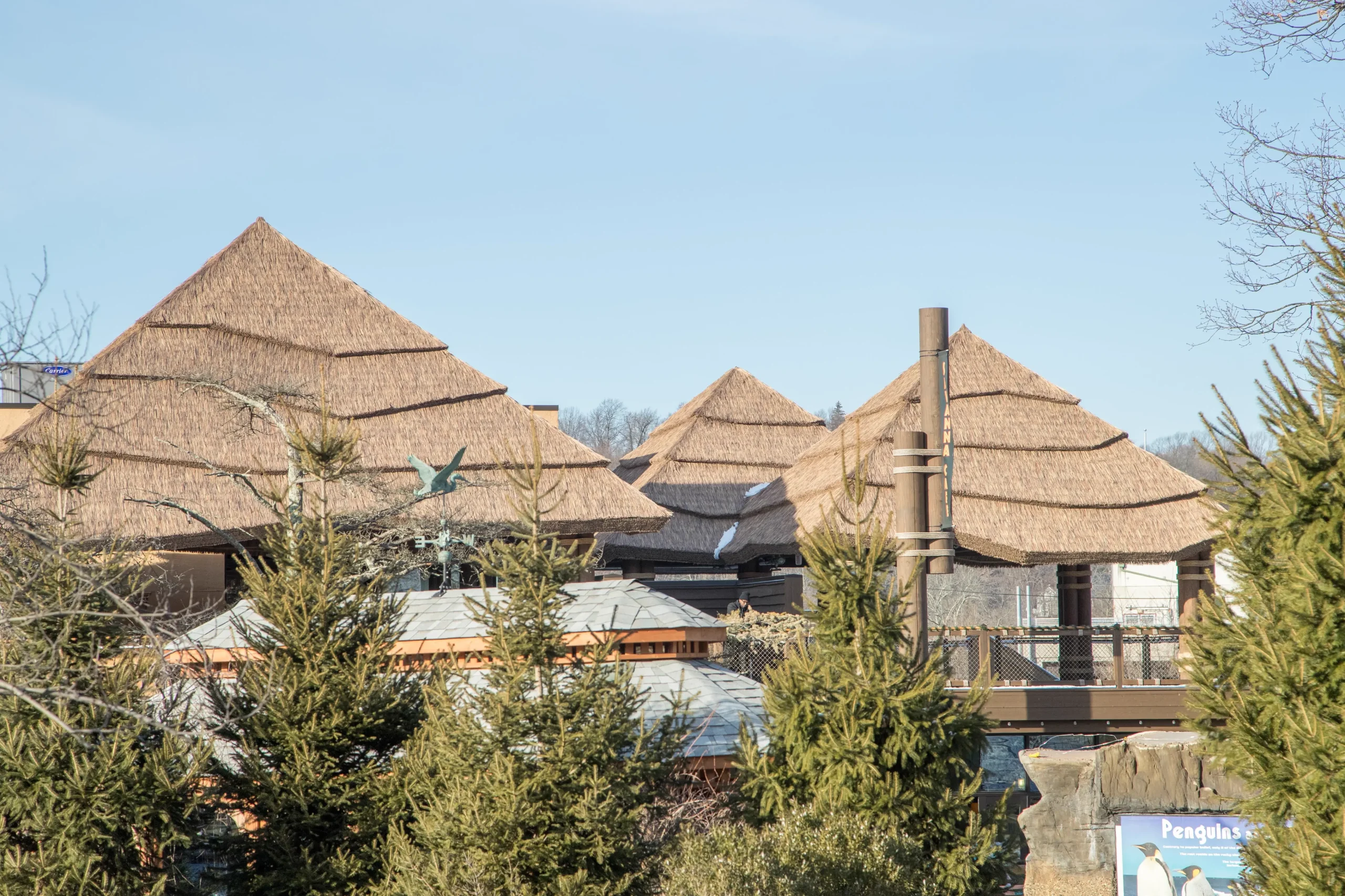 Capetown TurtleBackZoo 59