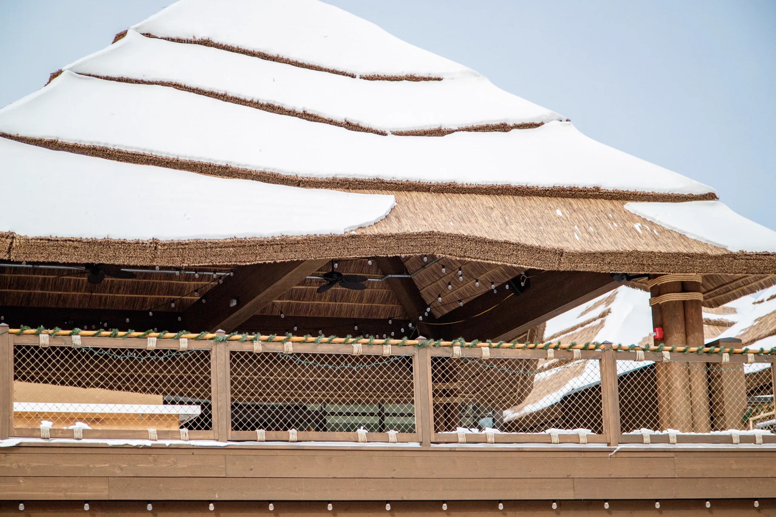 Capetown TurtleBackZoo 77 (2)