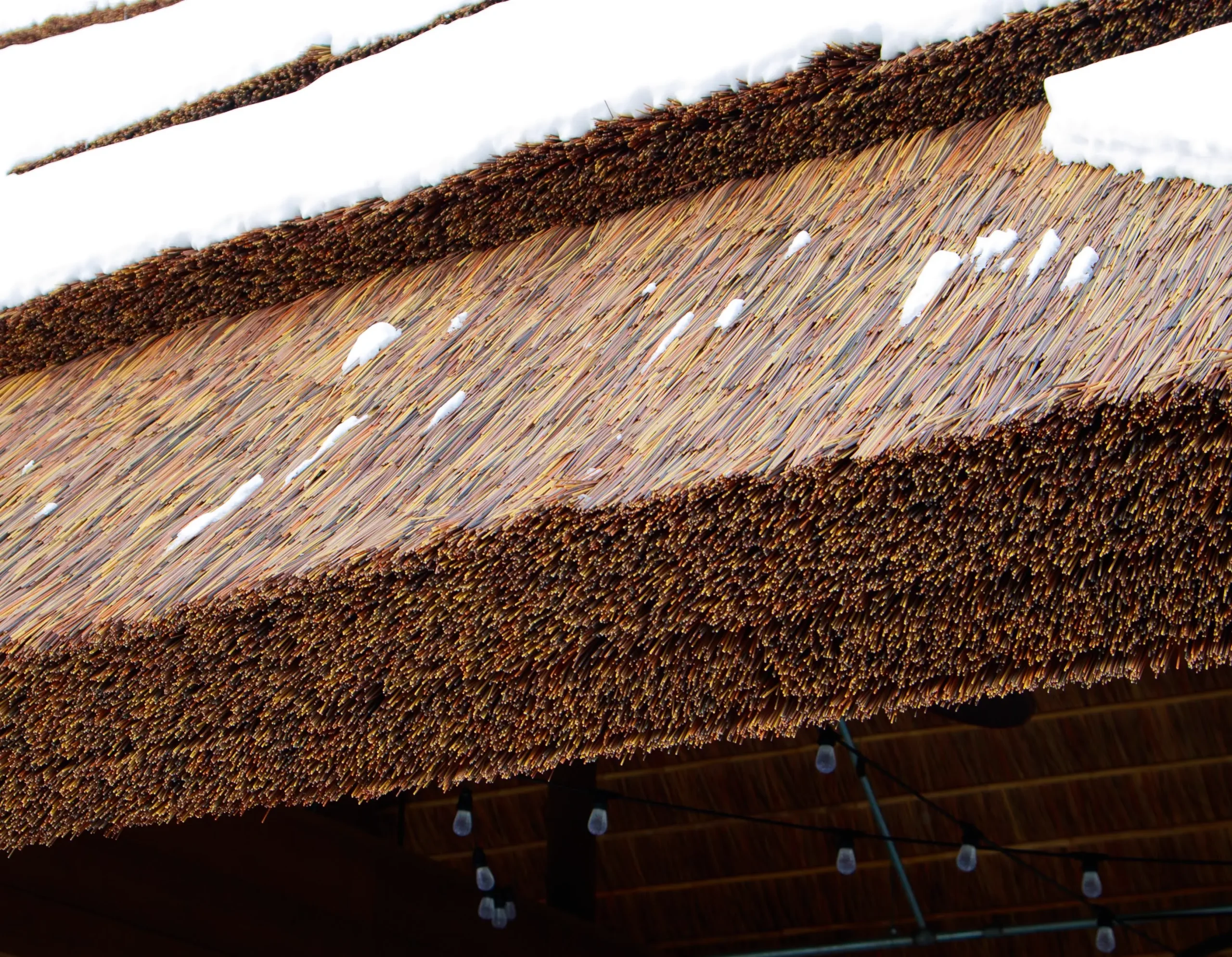 Capetown TurtleBackZoo 78 (2)