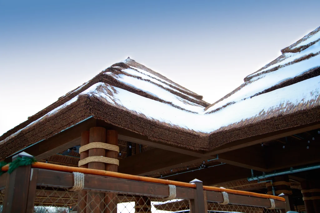 Capetown TurtleBackZoo 79 (2)