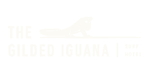 Endureed_Brands-Who-Trust-Us_raw-canvasGilden-Iguana 1