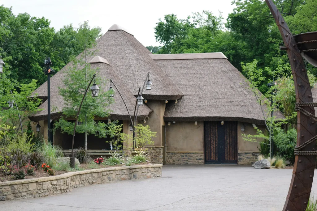 Kilimanjaro NashvilleZoo 1 (1)