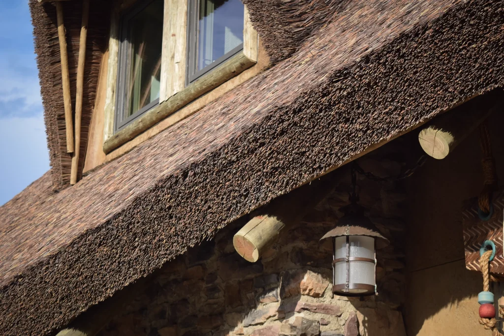 Kilimanjaro NashvilleZoo 125