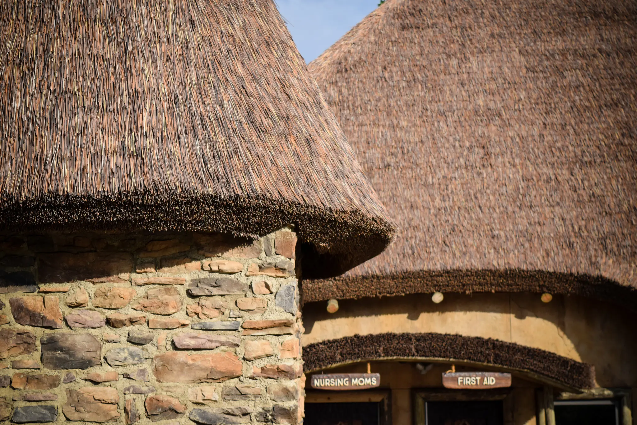 Nashville Zoo Kilimanjaro 4 (1)