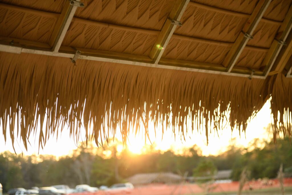 Santa Rosa Round House engineered thatch roof fronds in sunset close up texture